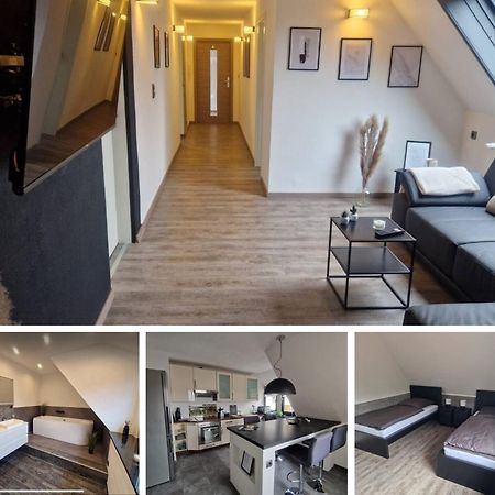 Ferienwohnung Am See Dillich - Eigener Garten - Ruhige Lage - Natur Vor Der Haustuer Borken  Eksteriør billede