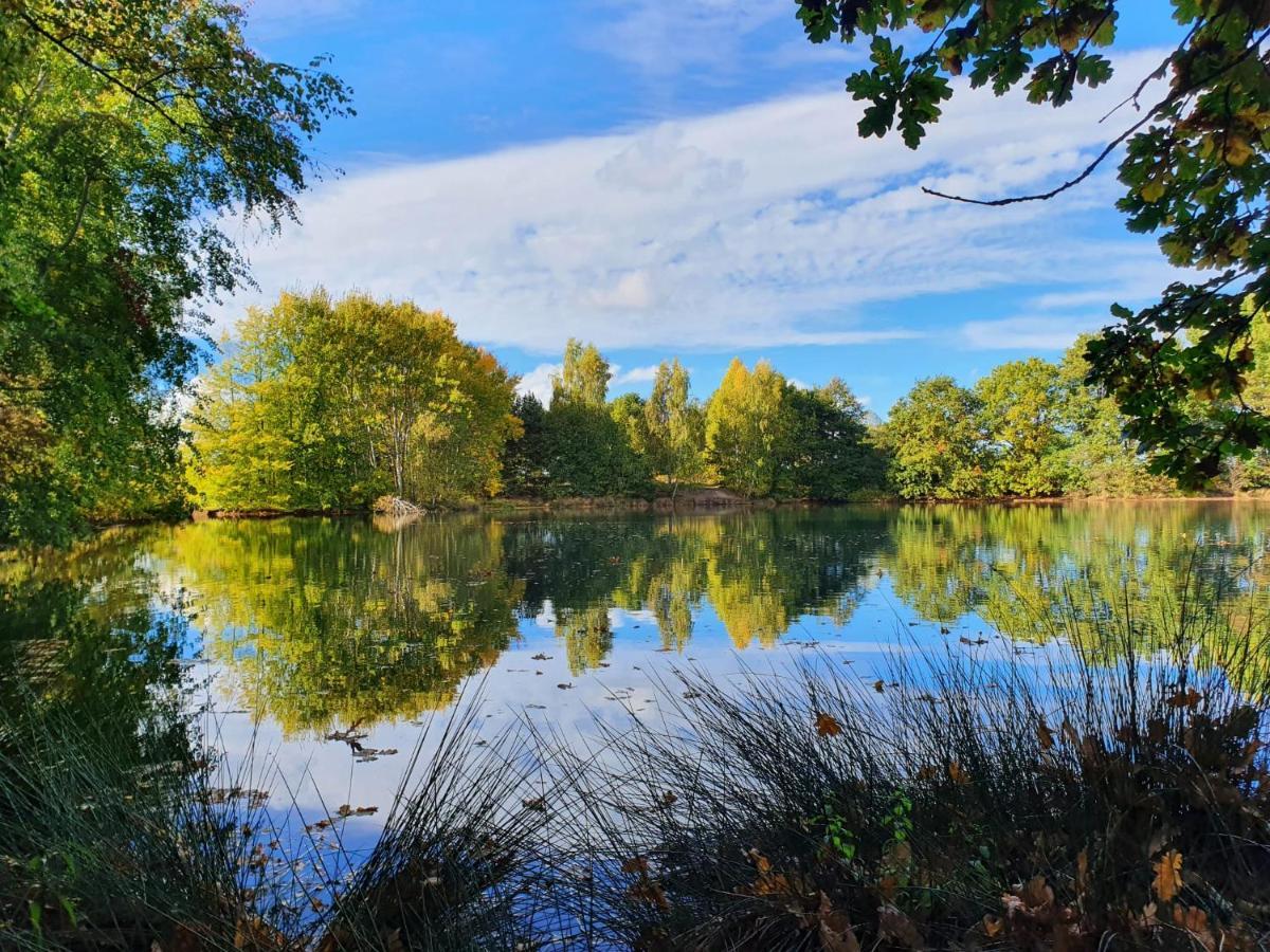 Ferienwohnung Am See Dillich - Eigener Garten - Ruhige Lage - Natur Vor Der Haustuer Borken  Eksteriør billede