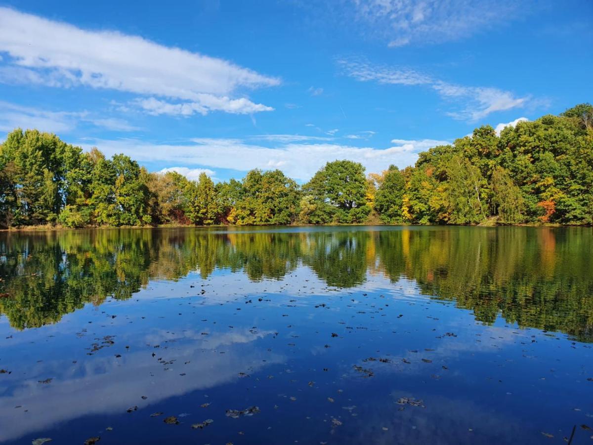 Ferienwohnung Am See Dillich - Eigener Garten - Ruhige Lage - Natur Vor Der Haustuer Borken  Eksteriør billede