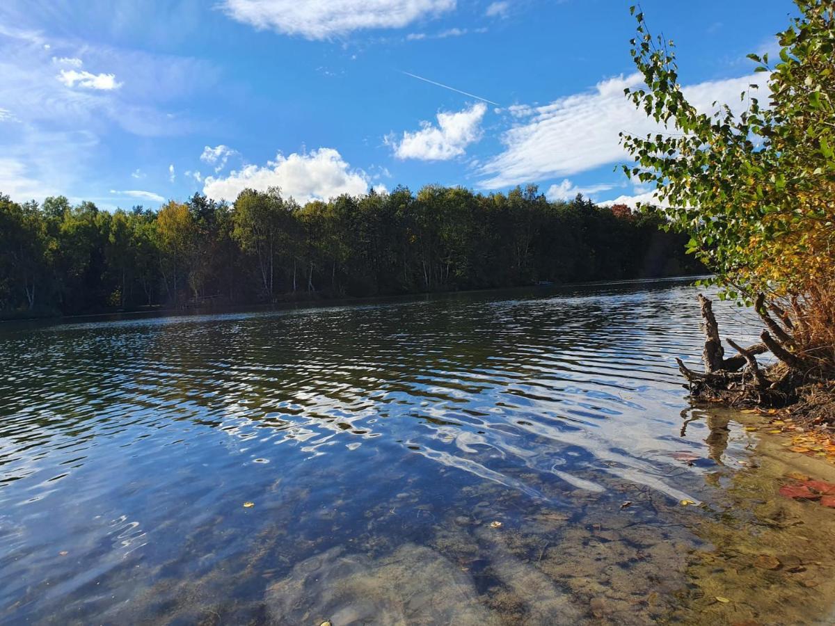 Ferienwohnung Am See Dillich - Eigener Garten - Ruhige Lage - Natur Vor Der Haustuer Borken  Eksteriør billede
