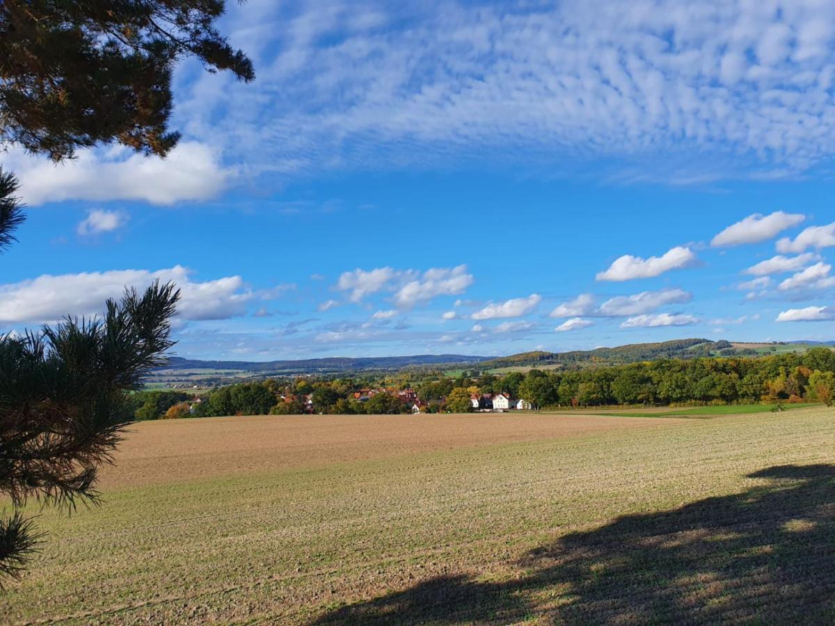 Ferienwohnung Am See Dillich - Eigener Garten - Ruhige Lage - Natur Vor Der Haustuer Borken  Eksteriør billede
