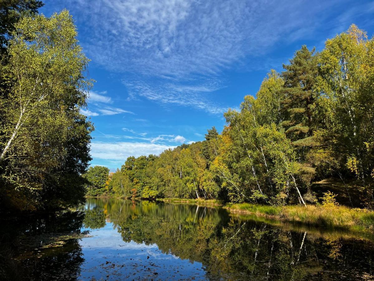 Ferienwohnung Am See Dillich - Eigener Garten - Ruhige Lage - Natur Vor Der Haustuer Borken  Eksteriør billede