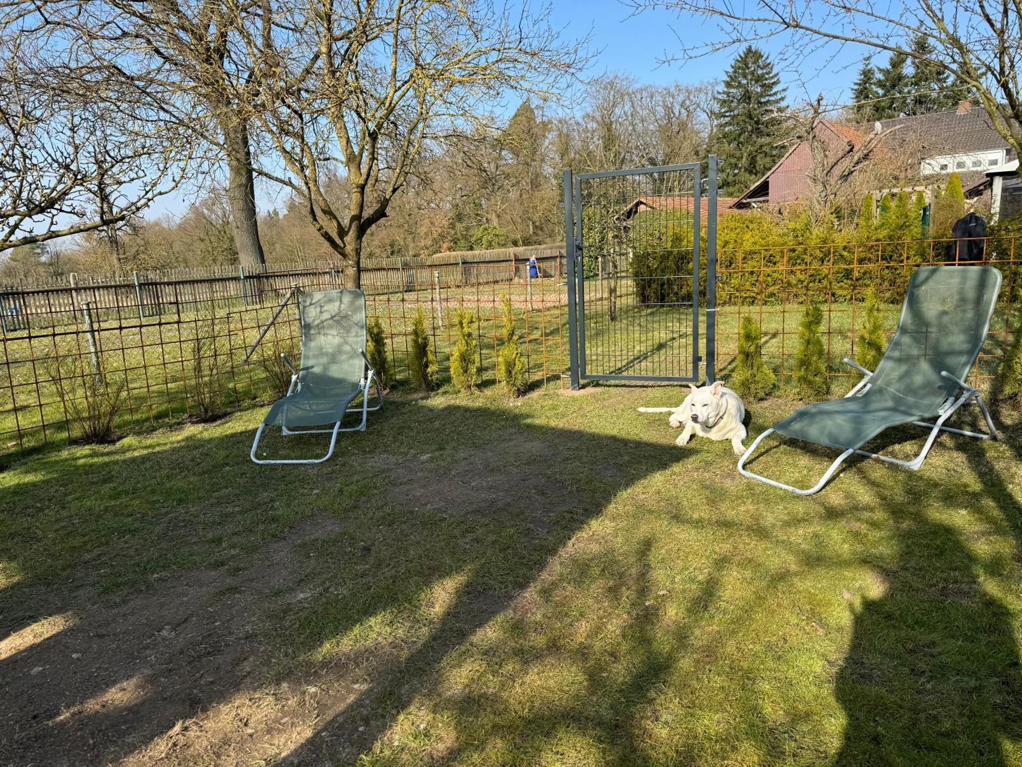 Ferienwohnung Am See Dillich - Eigener Garten - Ruhige Lage - Natur Vor Der Haustuer Borken  Eksteriør billede